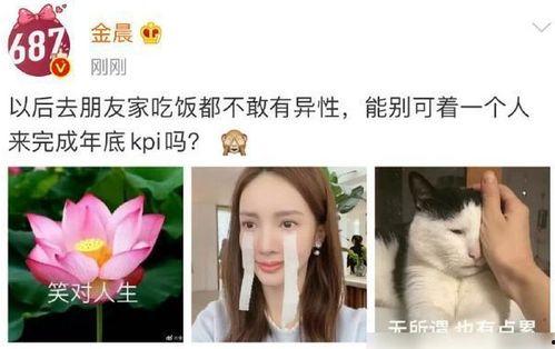 深夜娱乐圈爆料